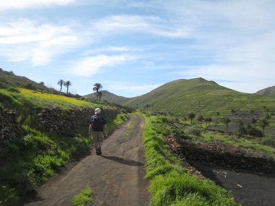 Man walking along dirt road amidst green peaks and palm trees on sunny day, Lanzarote, Spain