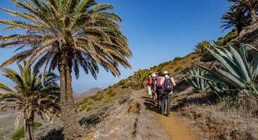 La Gomera, Lanzarote & Tenerife