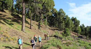 La Palma, Lanzarote & Tenerife