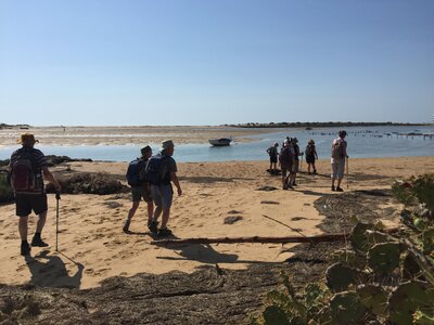 Ramble Worldwide walking holiday group of walkers strolling along sandy beach on Tavira Island, Algarve, Portugal