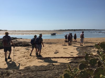 Ramble Worldwide walking holiday group of walkers strolling along sandy beach on Tavira Island, Algarve, Portugal
