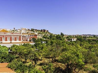 Trees and ponte romana restaurant with buildings in background with clear blue sky, Silves, Algarve, Portugal