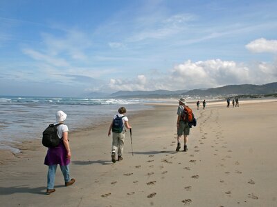 Ramble Worldwide small group walking back along the beach to Vila Praia de Ancora, Portugal