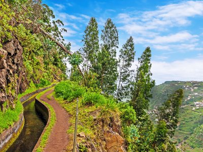 Hiking pathway along irrigation channel levada, Madeira