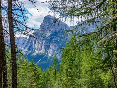 The imposing Dolomite mountains visible through tree branches, Italy
