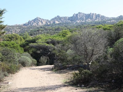 Dirt path along walking trail in Sardinia leading towards green forest and mountains in far distance, Sardinia