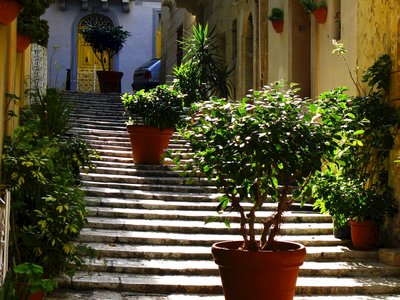 Colourful alleyway stone staircase with plants, Gozo