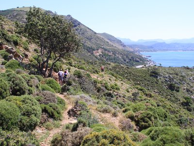 Hikers following goat tracks on coastal trail route in Crete, Cretan Trails & Tavernas Ramble Worldwide walking holiday, Crete, Greece, Europe
