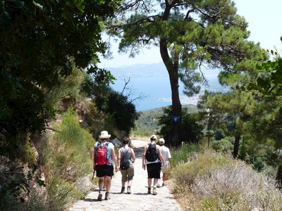Group of Ramble Worldwide walkers descending hill towards Kokkari, Olympiada, Greece