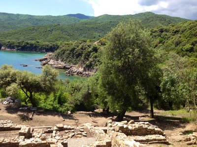 Trees and remnants of brick houses in Mount Athos area, Olympiada, Greece
